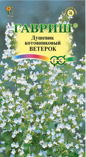 Душевик Ветерок котовниковый