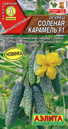 Огурец Соленая карамель F1