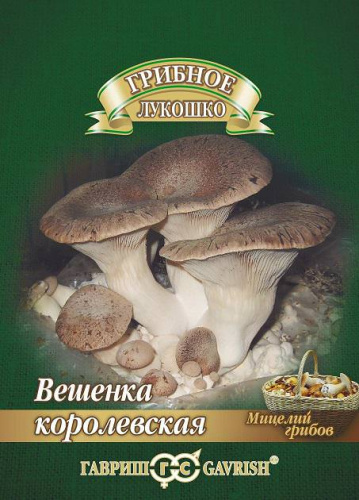 Вешенка Королевская на древесной палочке 