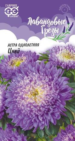 Астра Иней 0,3 г, серия Лавандовые грезы 