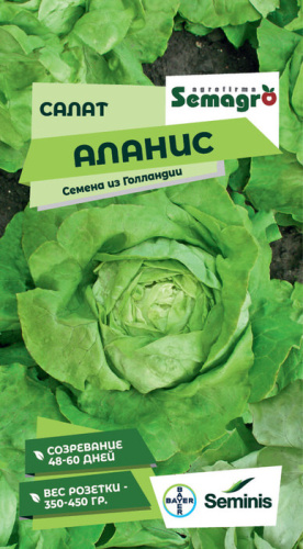 Салат Аланис F1 кочанный