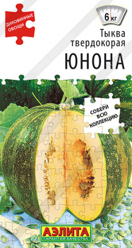 Тыква Юнона твердокорая Диковинные овощи