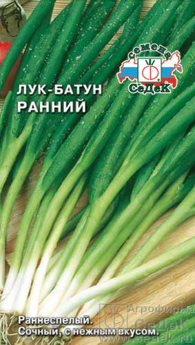 Лук Ранний, батун