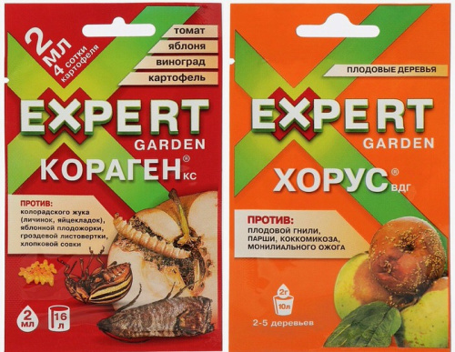 Кораген 2мл+ Хорус 2г в подарок (15/60)
