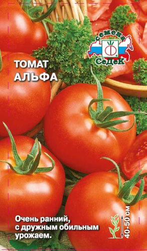Томат Альфа 