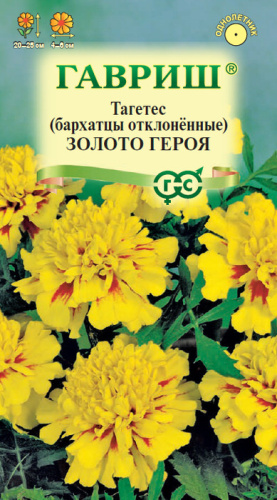 Бархатцы Золото героя отклоненные