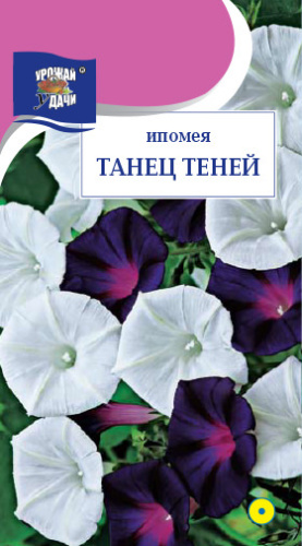 Ипомея Танец Теней