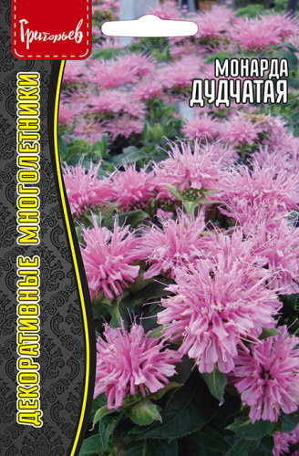 Монарда Дудчатая