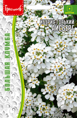 Иберис Айсберг горький