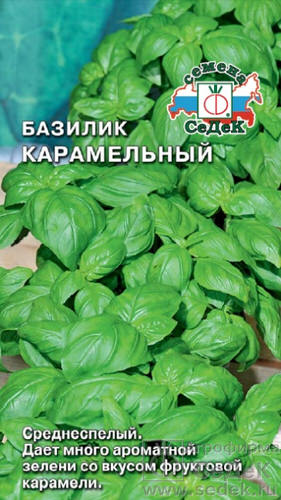 Базилик Карамельный 