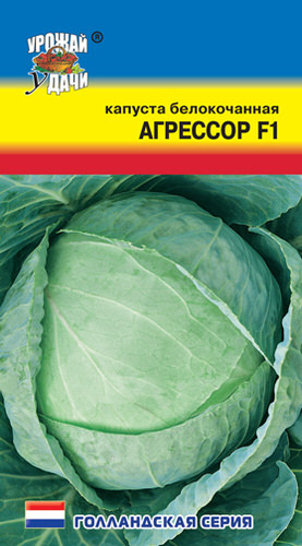 Капуста Агрессор F1 Syngenta