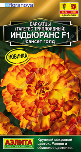 Бархатцы Индьюранс F1 сансет голд