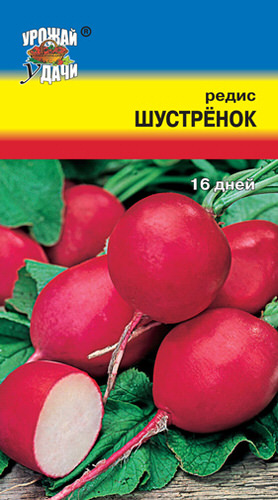 Редис Шустренок 16 дней