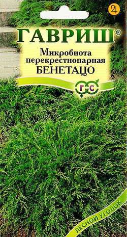 Микробиота Бенетацо перекрестнопарная 