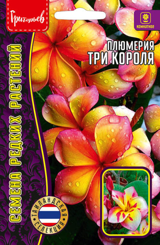 Плюмерия Три Короля