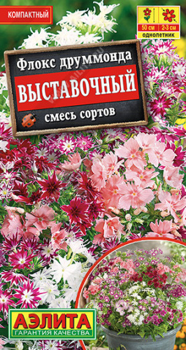 Флокс Выставочный, смесь 