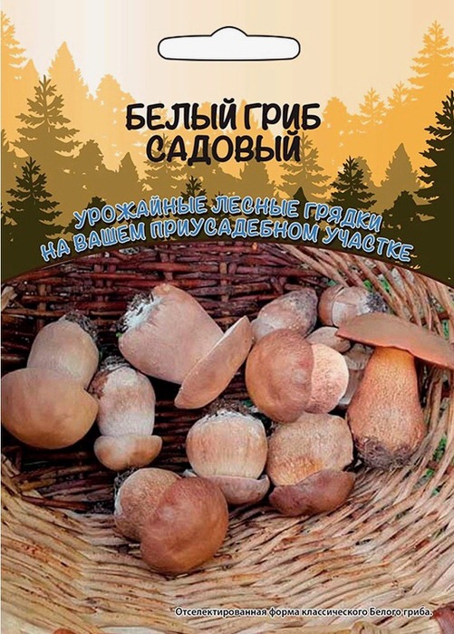 Белый Гриб Садовый 
