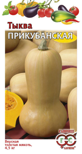 Тыква Прикубанская, мускатная 