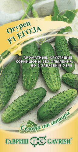 Огурец Егоза F1 корнишон автор.