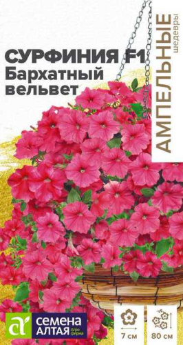 Сурфиния Бархатный вельвет 