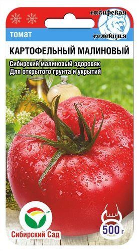 Томат Картофельный малиновый 