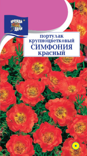 Портулак Симфония красная