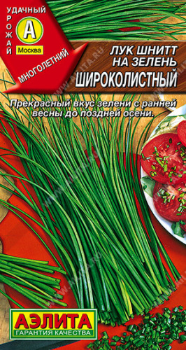 Лук (шнитт) Широколистный