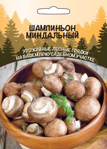 Шампиньон Миндальный 