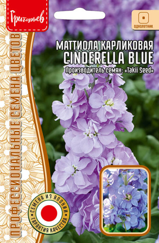 Маттиола Cinderella Blue карликовая