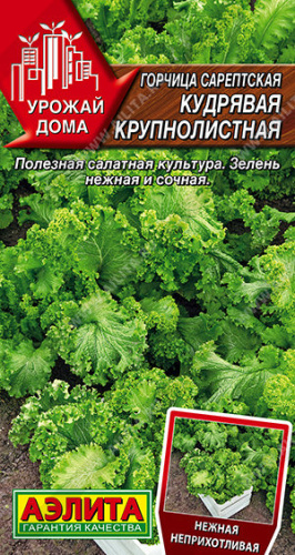 Горчица сарептская Кудрявая крупнолистная