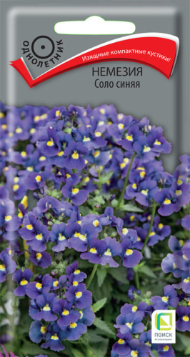 Немезия Соло синяя