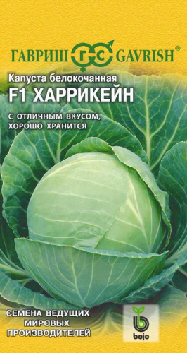 Капуста Харрикейн F1 для хранения Bejo