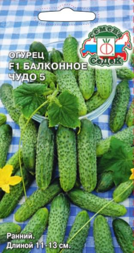 Огурец Балконное Чудо 5  F1