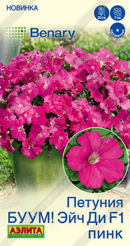 Петуния БУУМ! Эйч Ди F1 Пинк