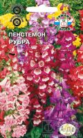 Пенстемон Рубра  купить