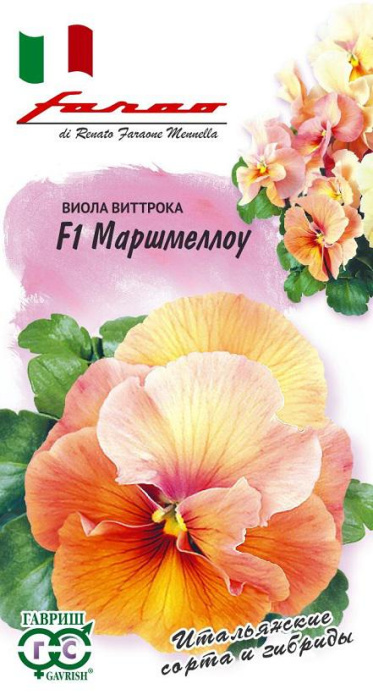Виола Виттрока Маршмеллоу F1