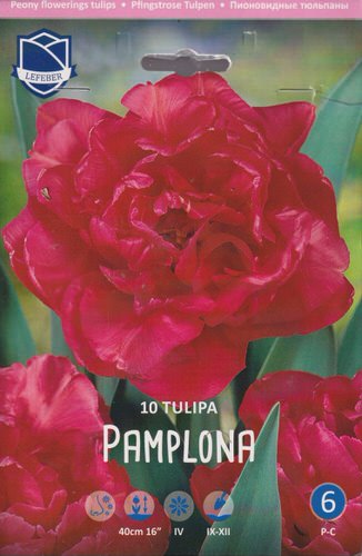 Тюльпан пионовидный "Pamplona" (1х10шт)