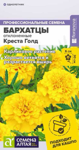 Бархатцы Креста Голд махровые