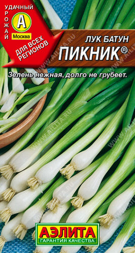 Лук Пикник, батун