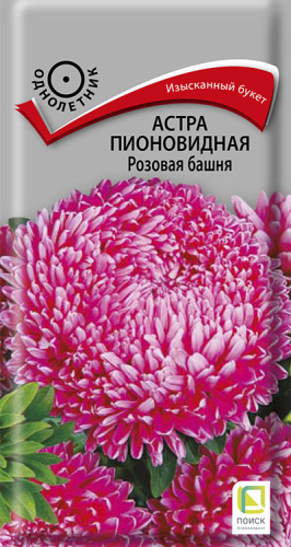 Астра Башня Розовая пионовидная