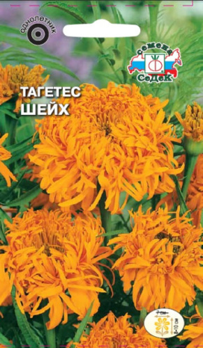 Тагетес Шейх