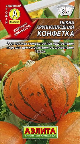 Семена тыквы Конфетка купить в Украине | Веснодар
