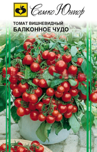 Томат Балконное чудо Красное 