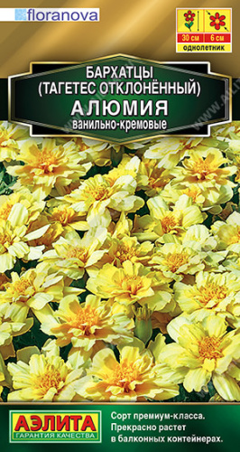 Бархатцы Алюмия ванильно-кремовые откл.