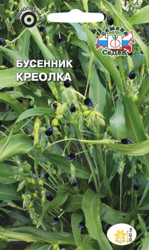 Бусенник Креолка 1гр