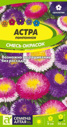 Астра Помпонная Смесь Окрасок 									