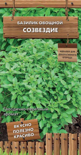 Базилик Созвездие (А)