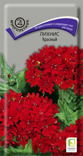 Лихнис Красный