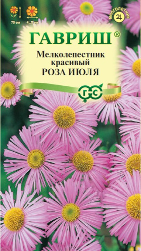 Мелколепестник Роза Июля