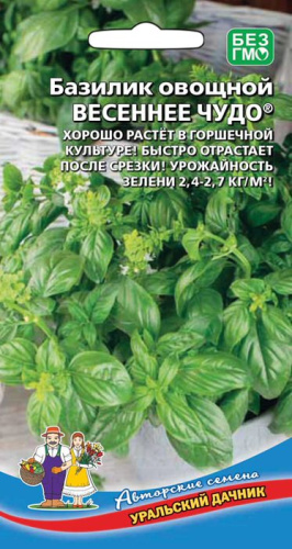 Базилик Весеннее чудо